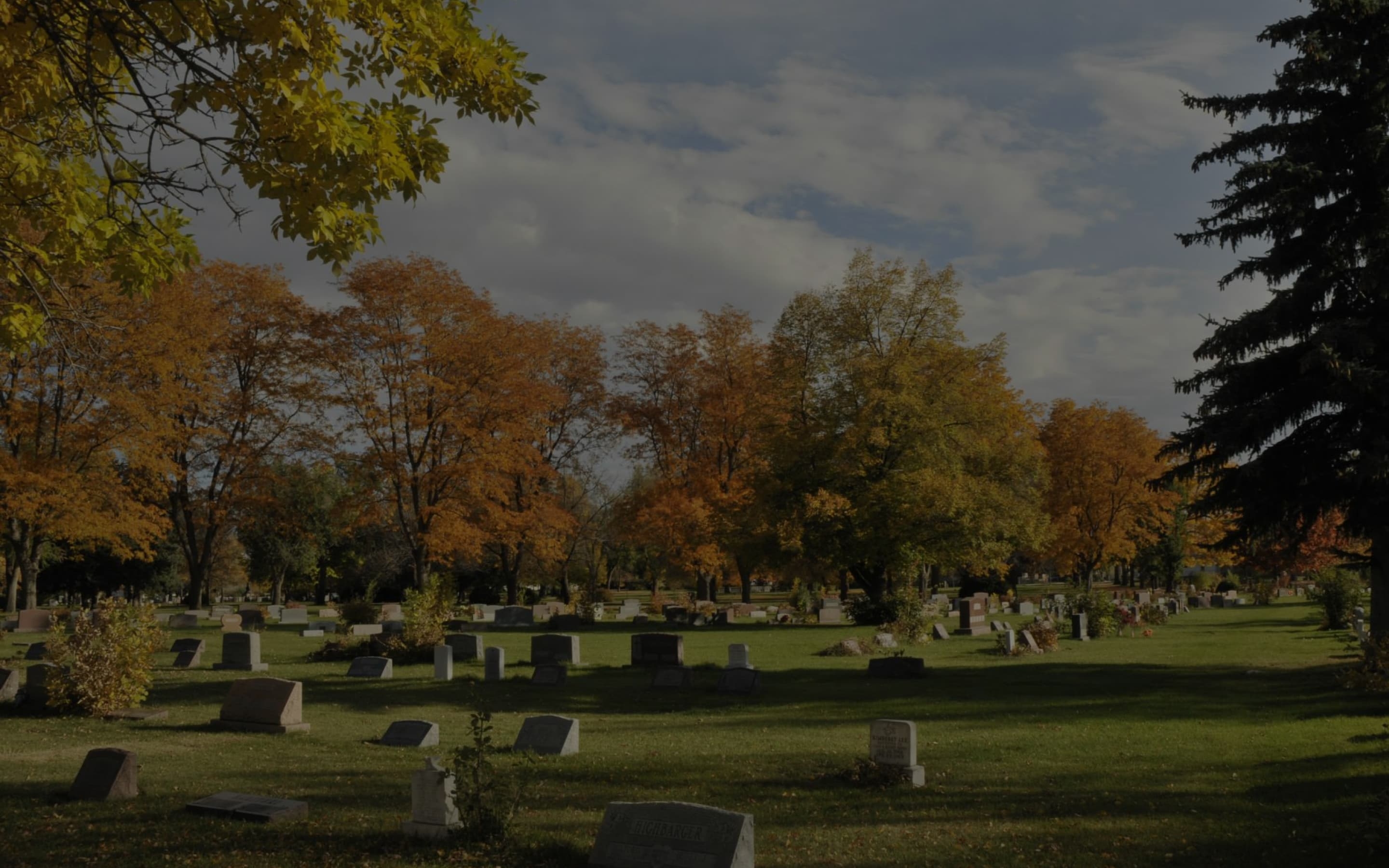 Cemetery Search Burial Records