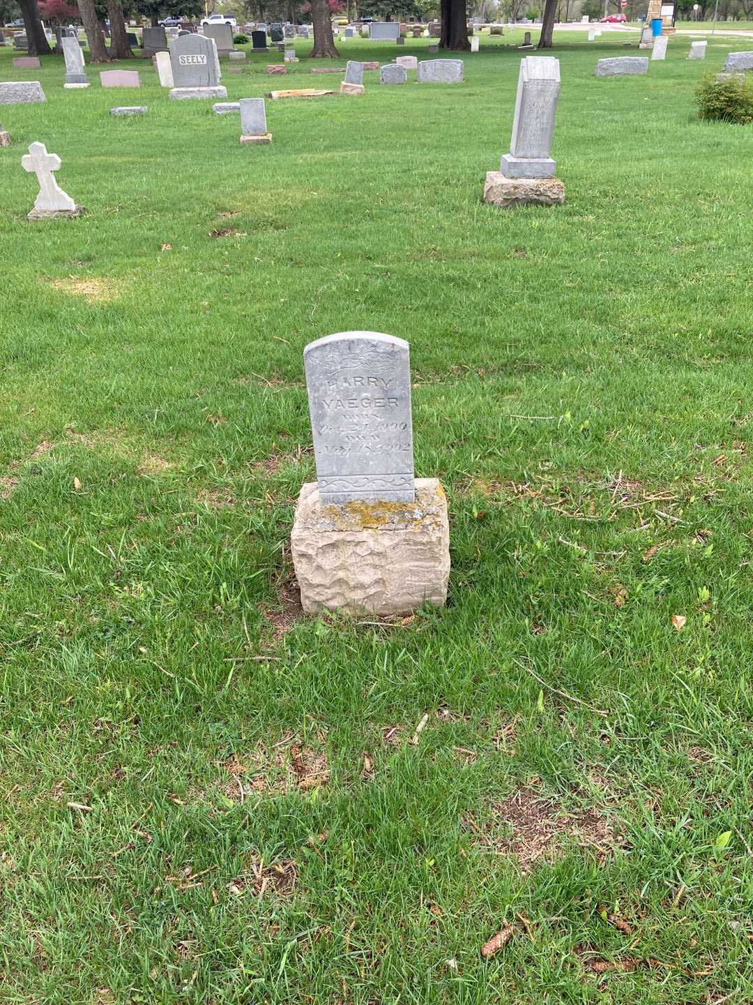 Harry Yeager's grave. Photo 2