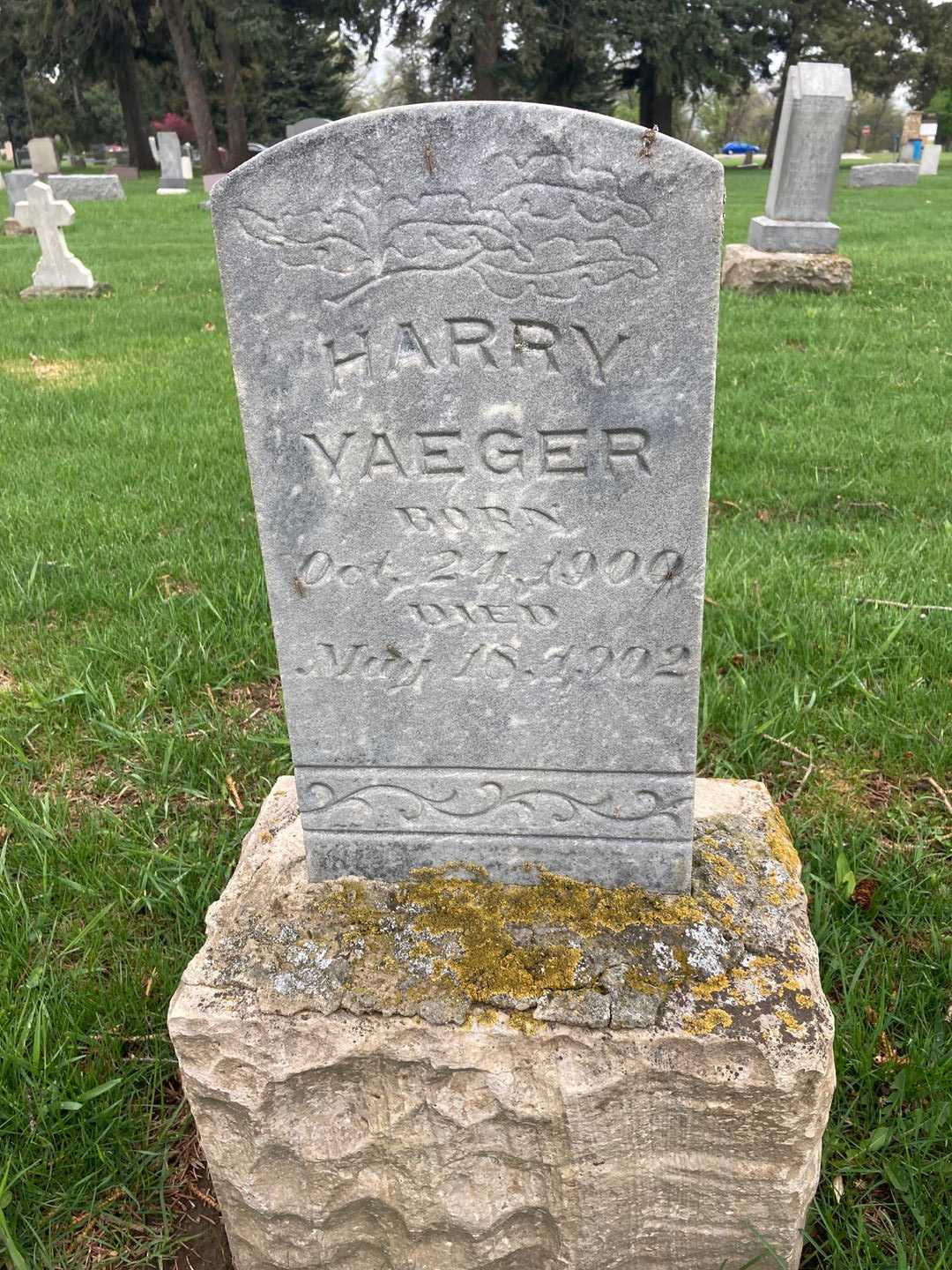 Harry Yeager's grave. Photo 1