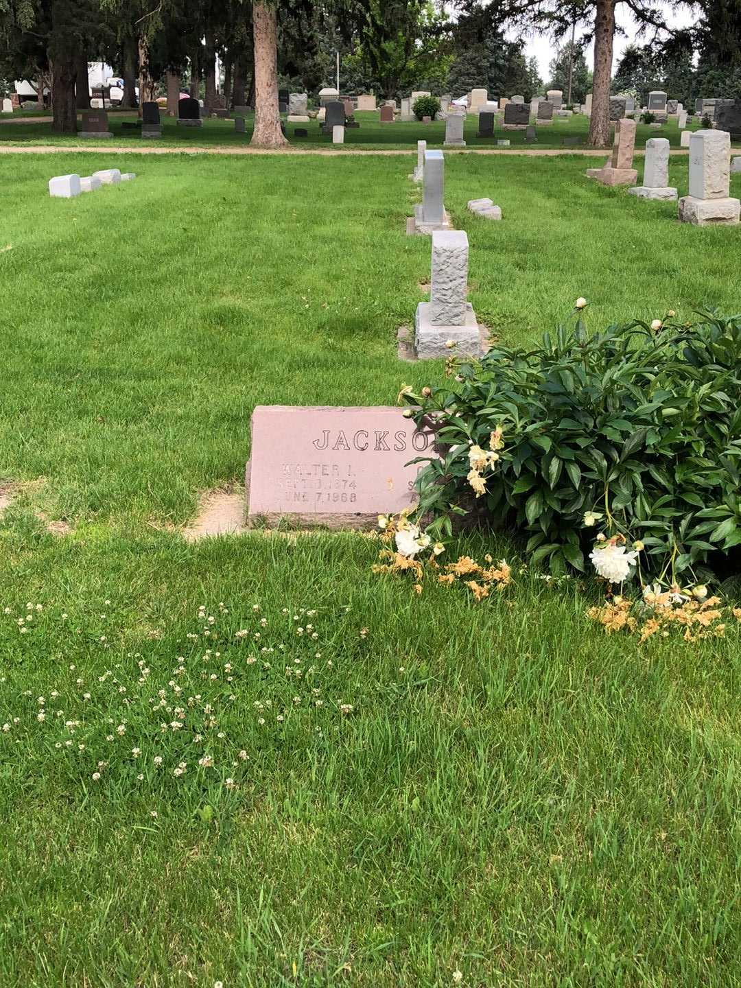 Cora C. Jackson's grave. Photo 2