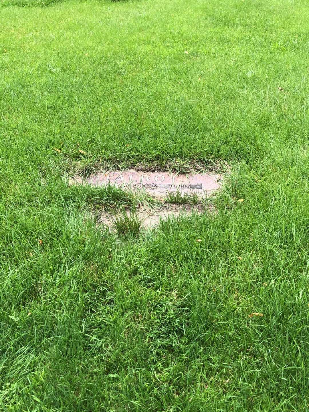 Olive May Talbot's grave. Photo 2