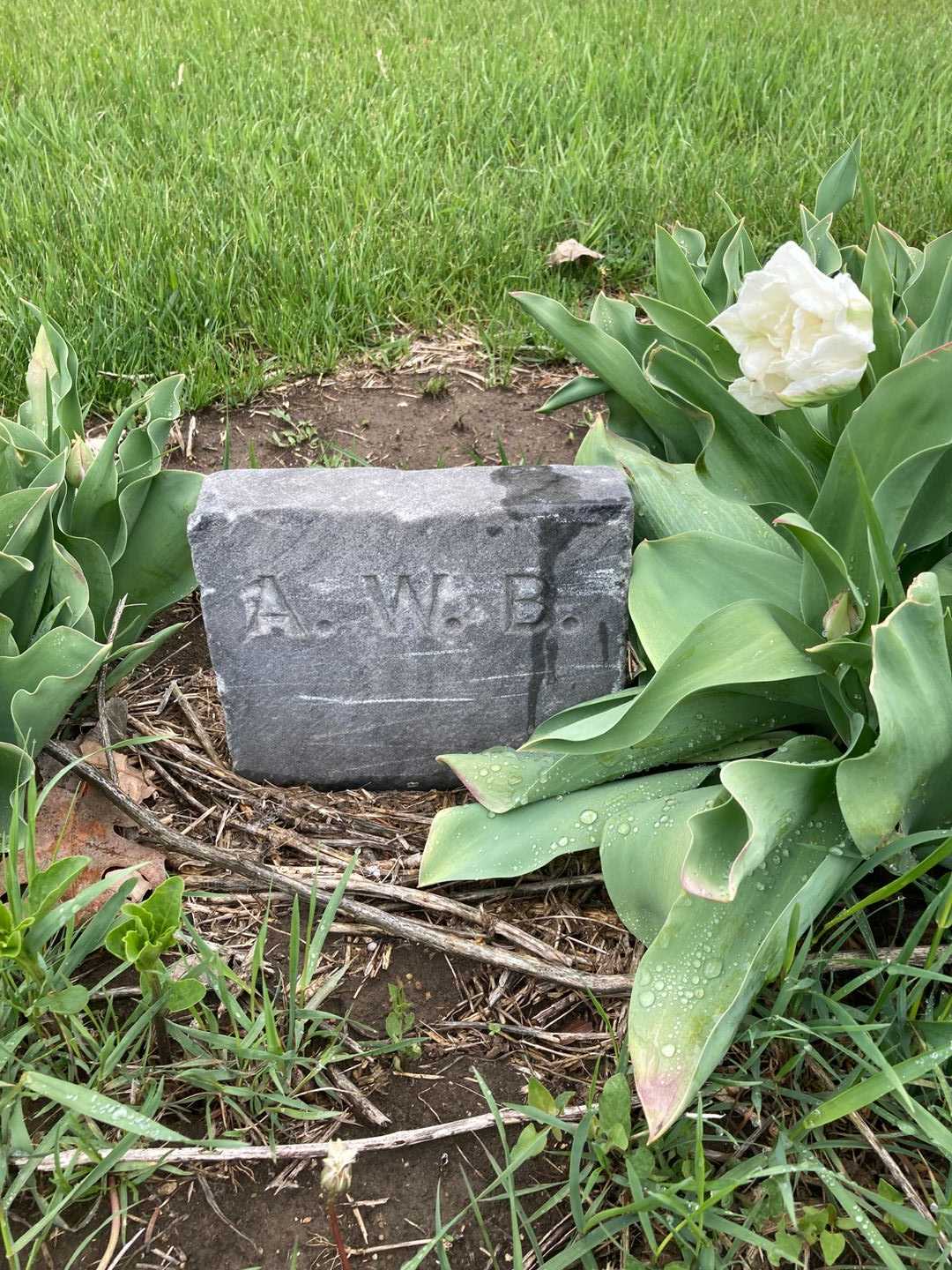 Levi A. W. Burwell's grave. Photo 2