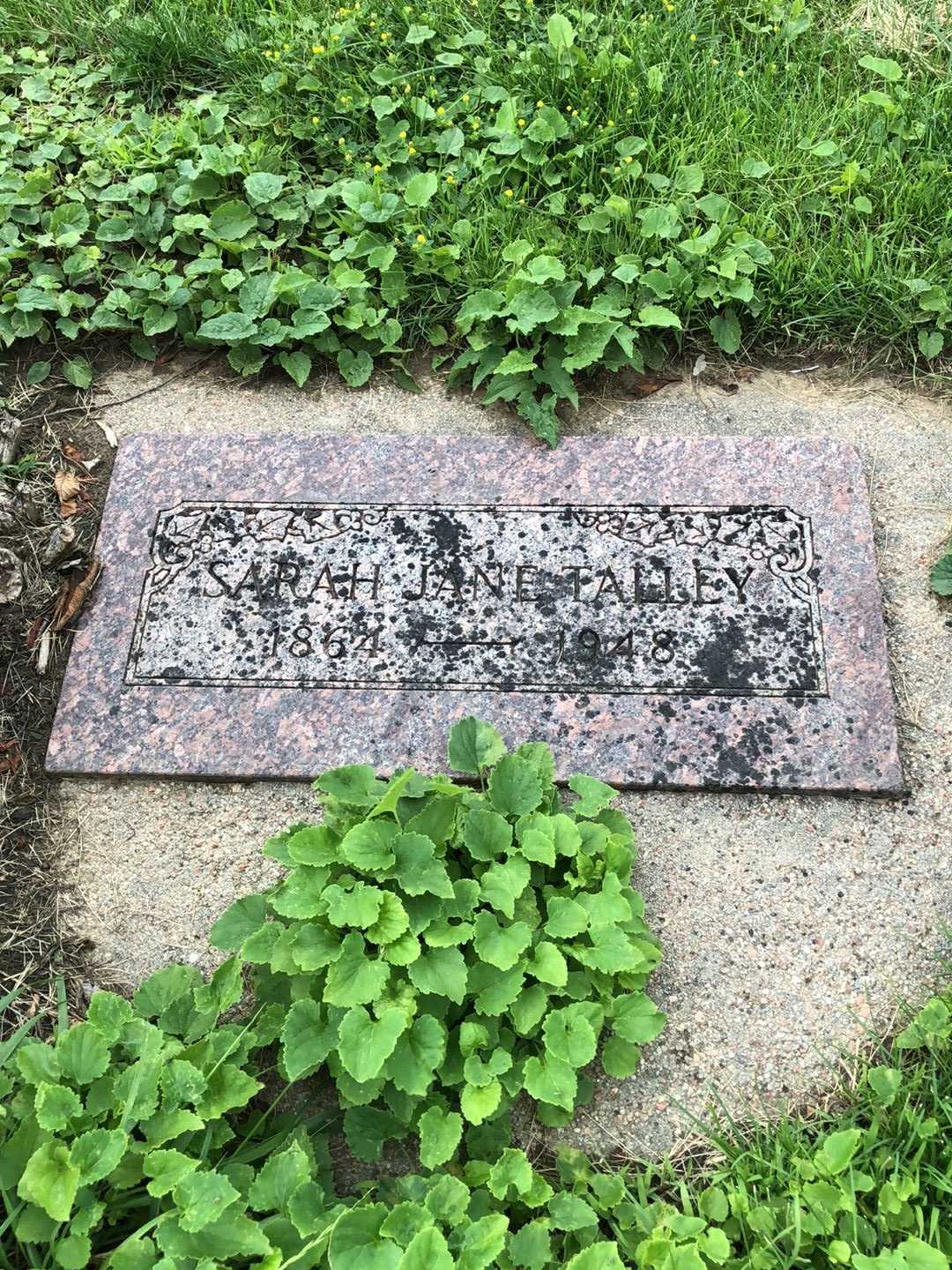 Sarah Jane Talley's grave. Photo 1