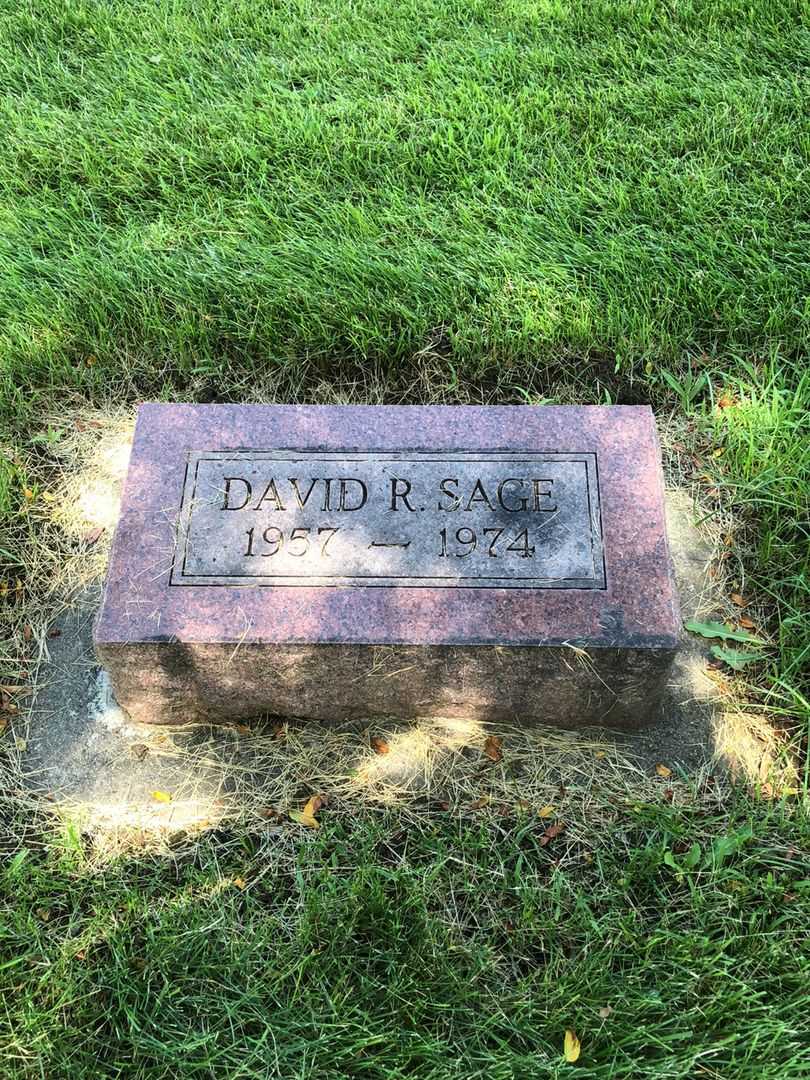 David R. Sage's grave. Photo 1