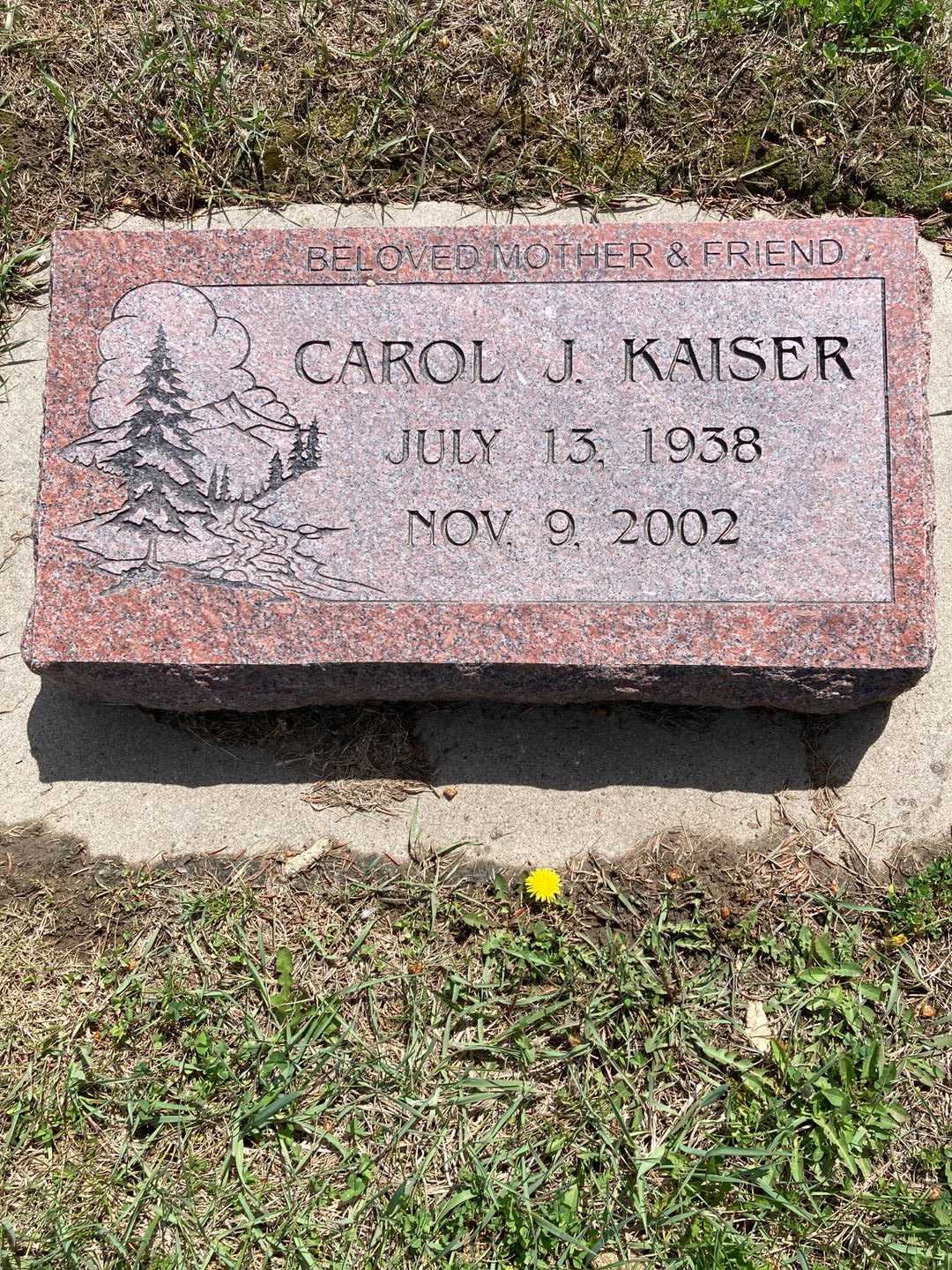 Carol Jean Kaiser's grave. Photo 1