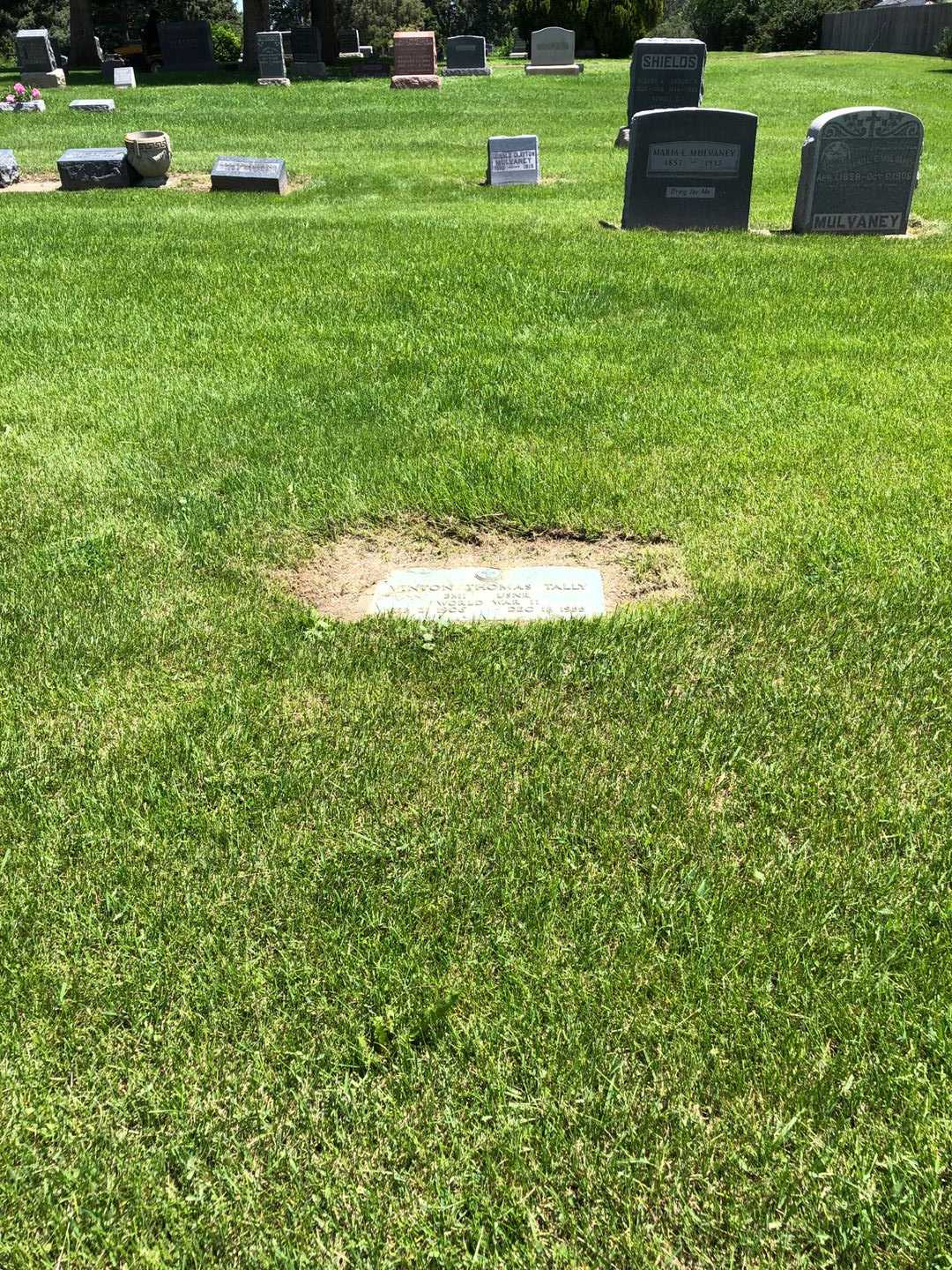 Vinton Thomas Tally's grave. Photo 2