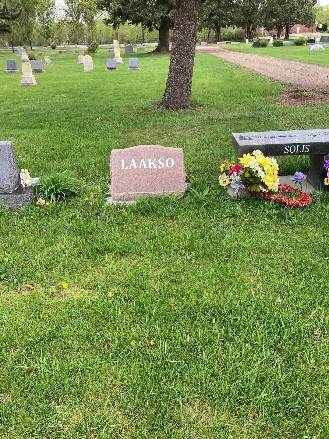 William Erik Laakso's grave