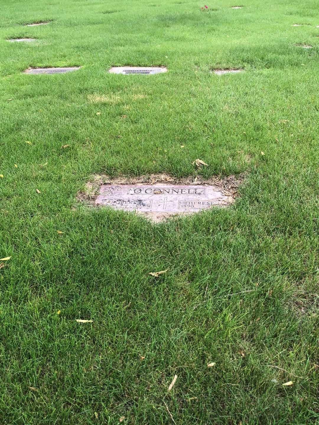 Robert A. O'Connell's grave. Photo 2