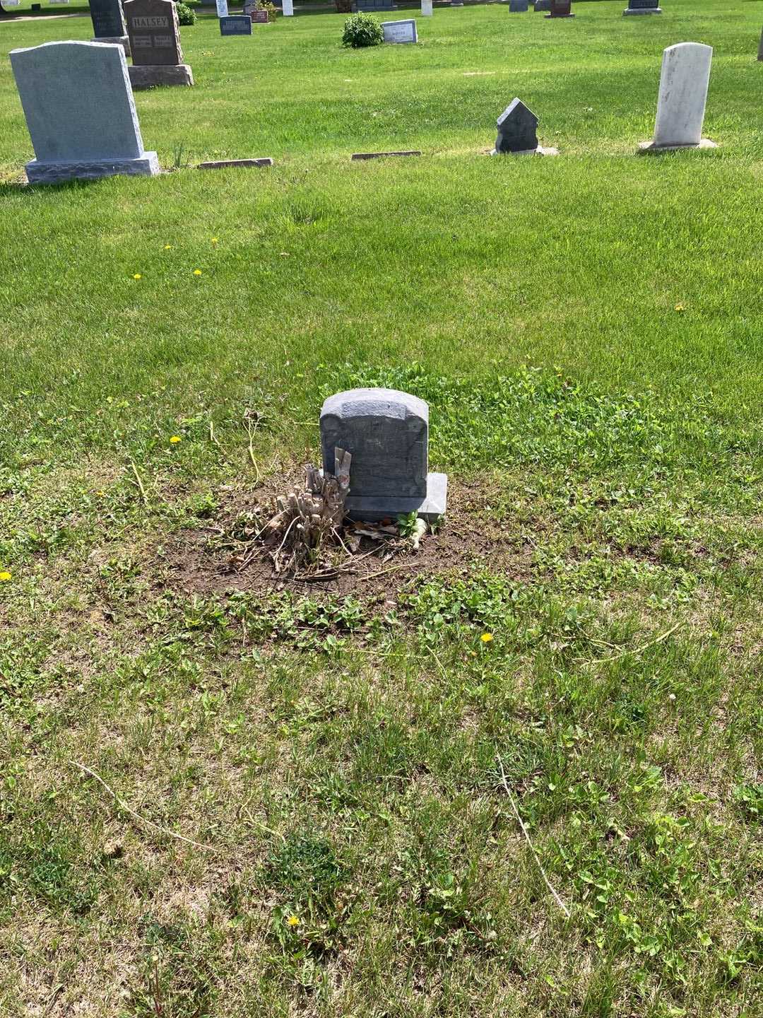 Hazel M. Caldwell's grave. Photo 2