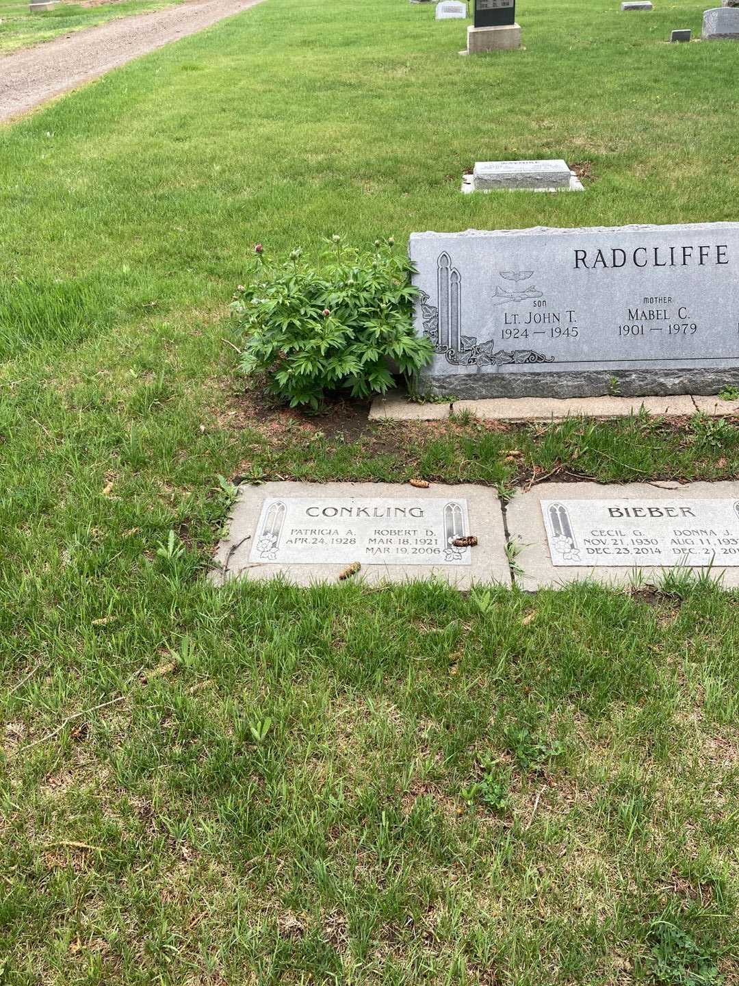 John T. Radcliffe's grave. Photo 7
