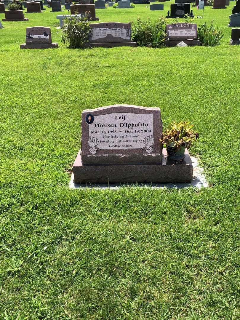 Leif Chris Thorsen D'Ippolito's grave. Photo 2