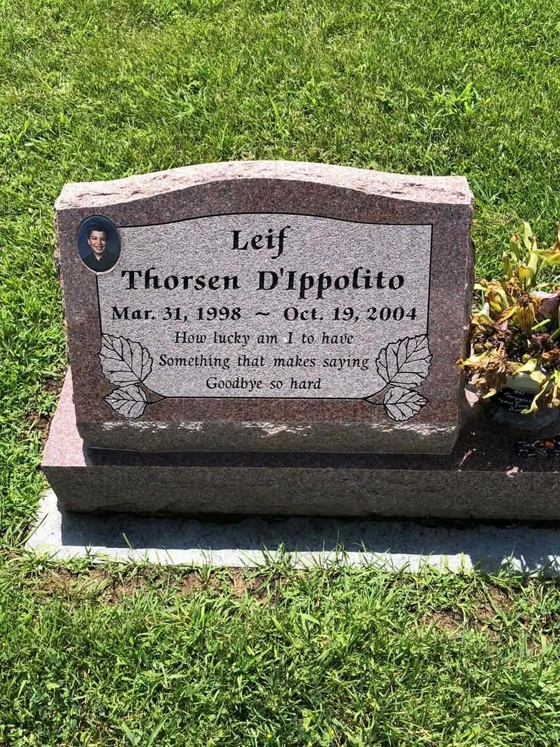 Leif Chris Thorsen D'Ippolito's grave. Photo 1