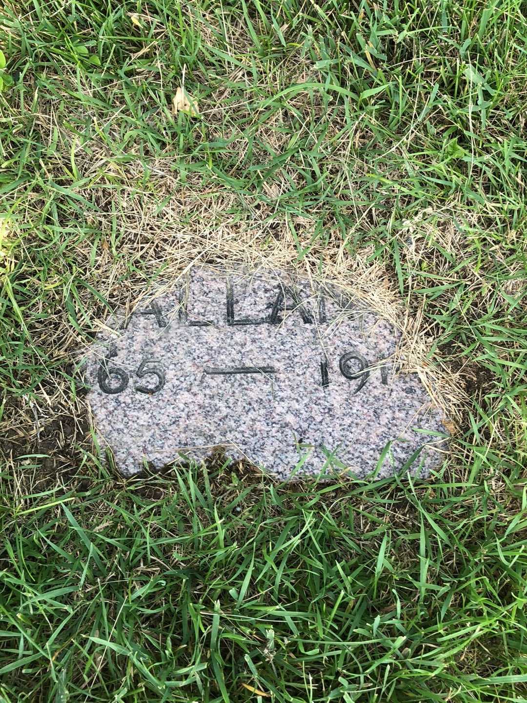 Louise Bellamy Tallant's grave. Photo 1