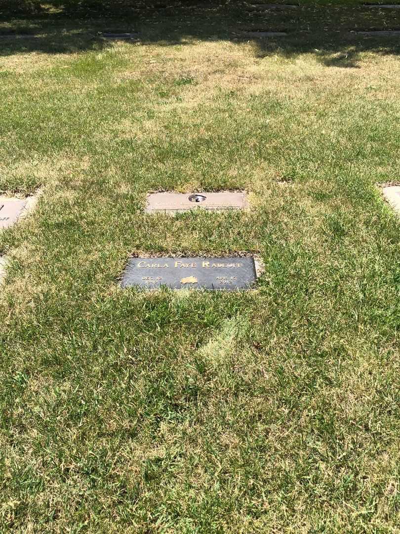 Carla Faye Radloff's grave. Photo 5