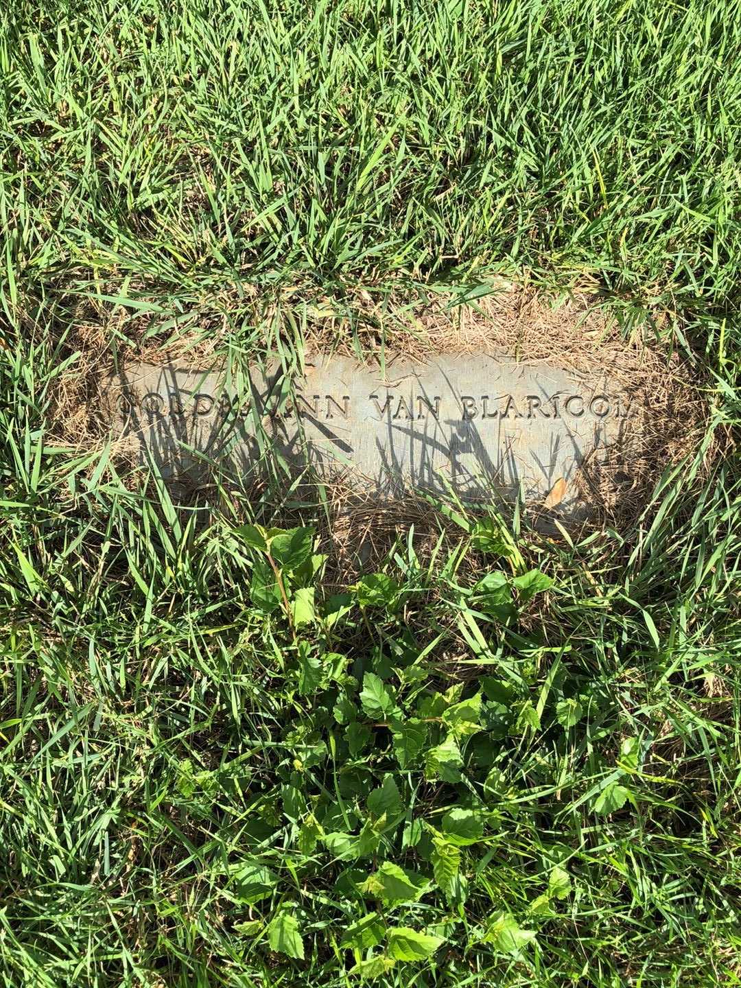 Goldie Ann Van Blaricom's grave. Photo 1