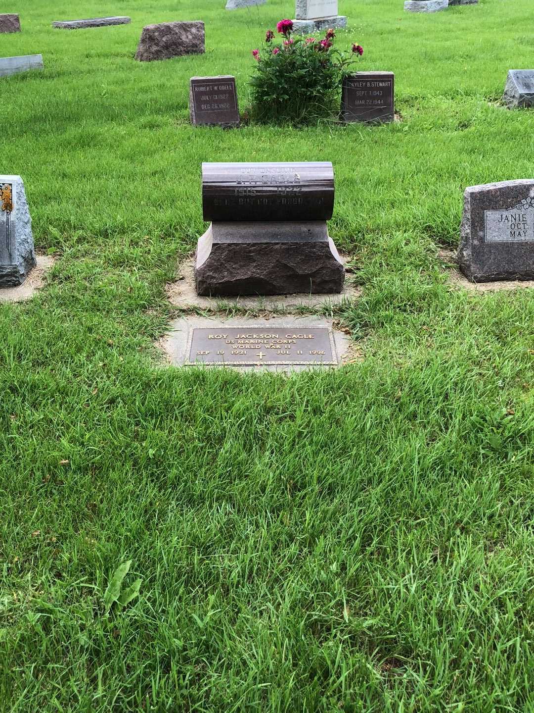 Roy Jackson Cagle's grave. Photo 4