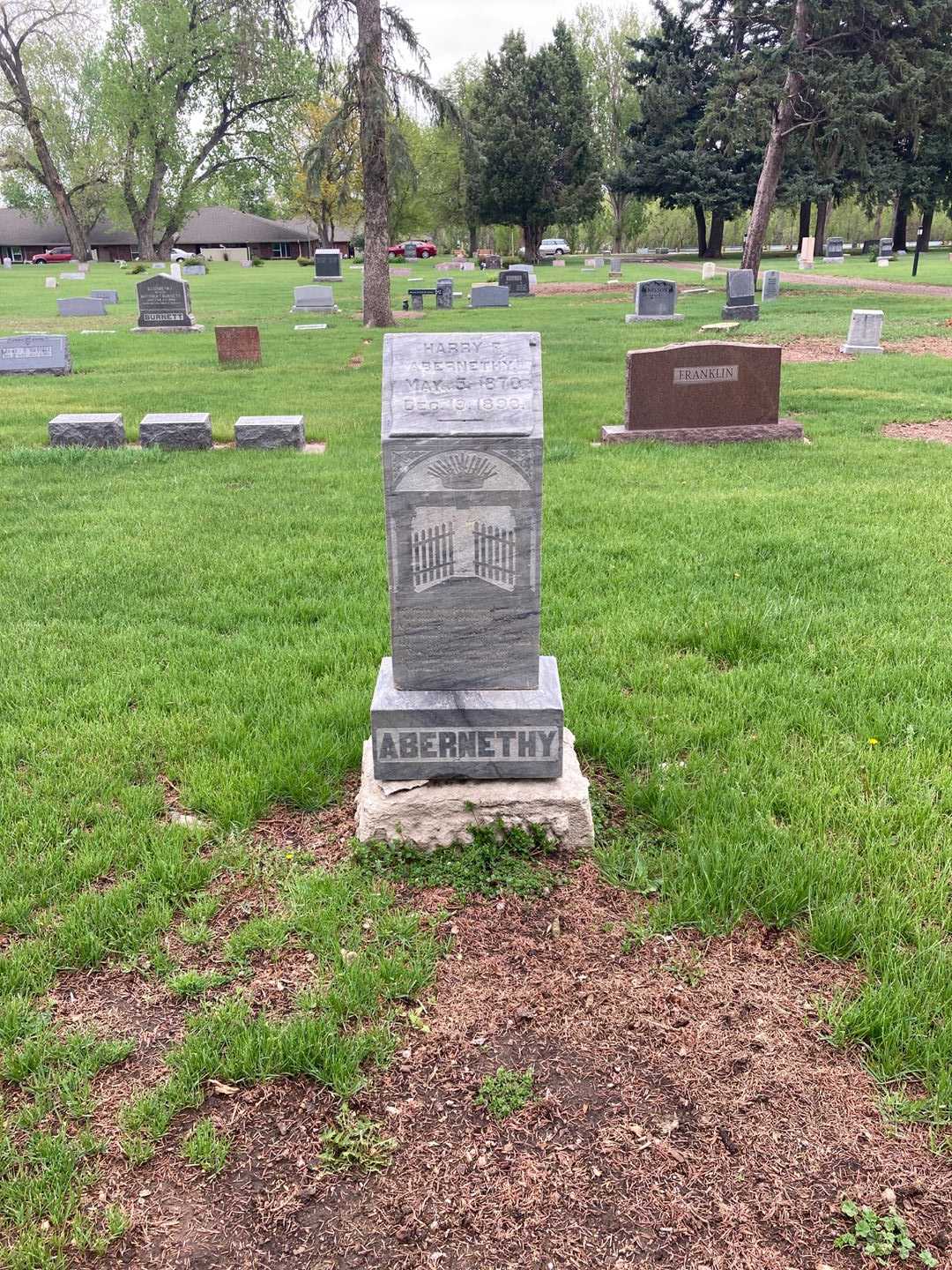 Harry F. Abernethy's grave. Photo 2