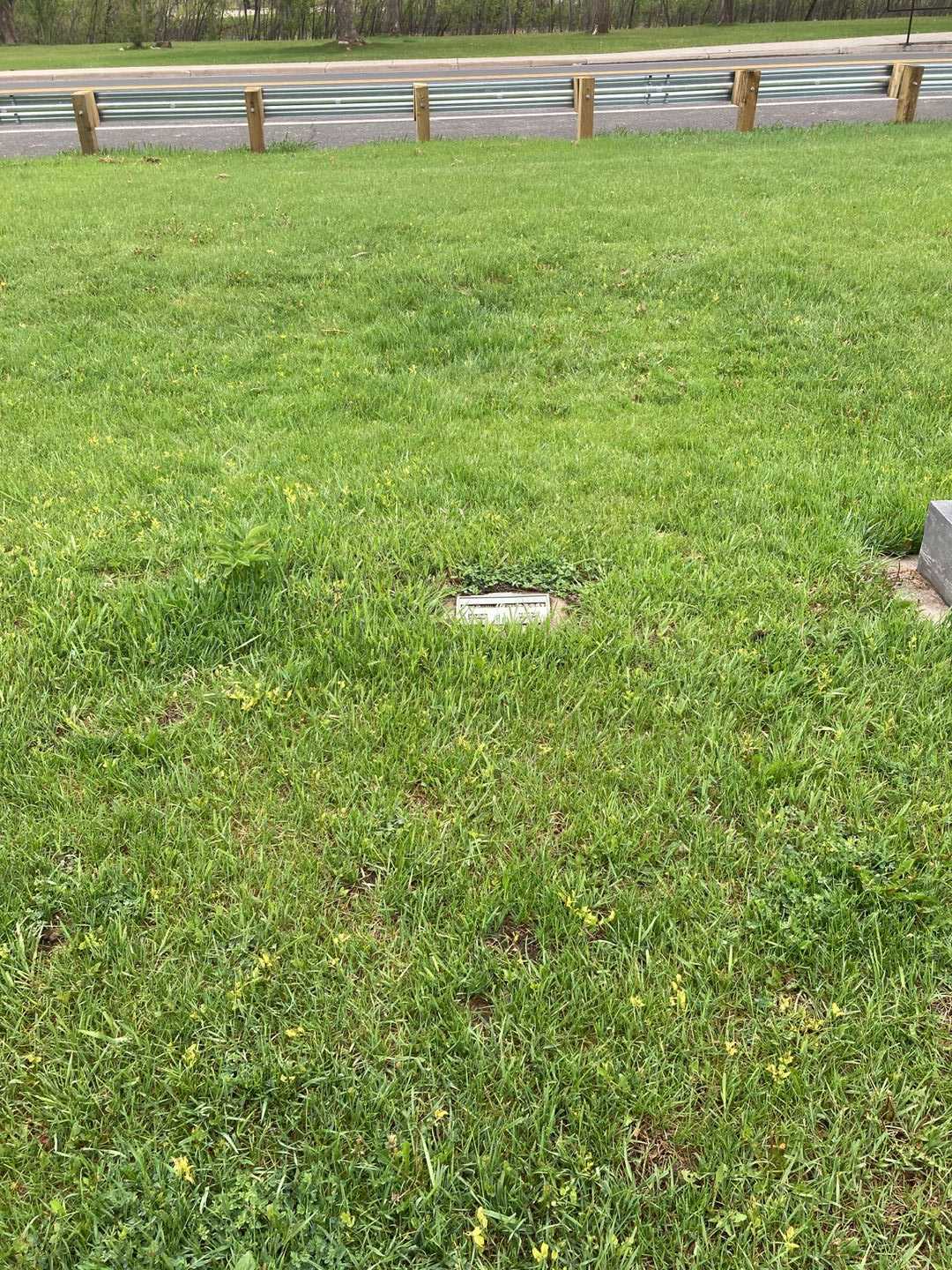 Yolanda Pacheco's grave. Photo 2