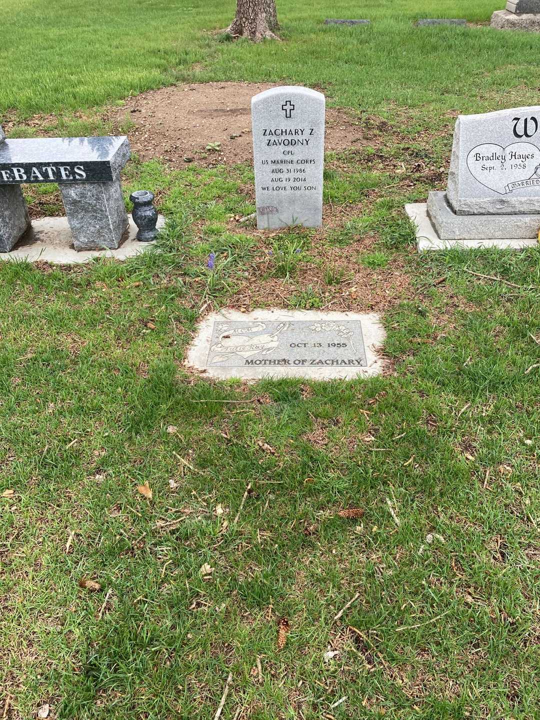 Zachary Zebadiah Zavodny's grave. Photo 3